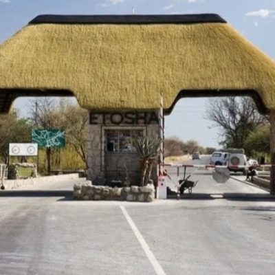 Screenshot_20240906_202601_edit_317926046435488