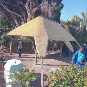 Screenshot_20240906_203116_edit_317994945260415