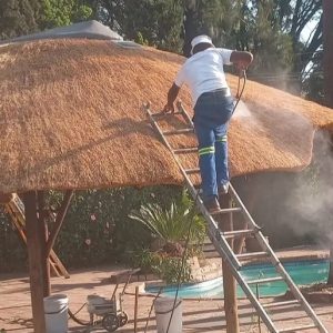 Screenshot_20240906_203215_edit_318029339019186